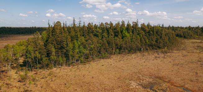 Pauškių piliakalnis