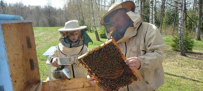 Bienenfarm A. Maslauskas